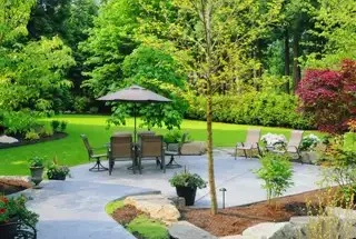 Landscaped Garden